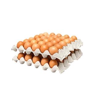 Fresh Egg Tray 1x30